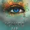 Ignite Me: Tiktok Made Me Buy It! The Most Addictive Ya Fantasy Series Of 2021: 03