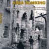Area Bombing. I Bombardamenti Anglo-americani Sull'italia Durante La Seconda Guerra Mondiale