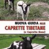 Nuova Guida Alle Caprette Tibetane (o Caprette Nane). Ediz. Illustrata