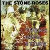Turns Into Stone (1 CD Audio)