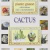 Cactus. Piante Grasse