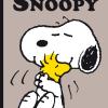 Il Meglio Di Snoopy