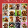 Il Barboncino: Edizione Speciale Per 