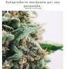 La coltivazione della marijuana. Autoprodurre marijuana per uso personale. Ediz. illustrata