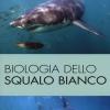 Biologia dello squalo bianco. Ediz. illustrata