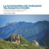 La Salvaguardia Del Paesaggio Tra Passato E Futuro. Il Paesaggio Naturale, Urbano E Storico Tra Reggio Calabria E Vibo Valentia