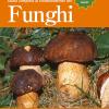Guida Completa Al Riconoscimento Dei Funghi