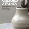 La ceramica a Faenza. Botteghe e laboratori fra tradizione e modernit. Ediz. illustrata