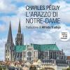 L'arazzo Di Notre-dame. Viaggio A Chartres In 100 Immagini. Ediz. Illustrata