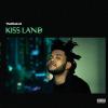 Kiss Land (2 Lp)