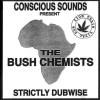 Strictly Dubwise