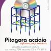 Pitagora Acciaio. Software Professionale. Progetto E Verifica Di Strutture Con Il Metodo Fem Secondo Ec3 E Ntc 2018. Con Cd-rom