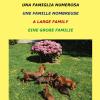 Una Famiglia Numerosa-une Famille Nombreuse-a Large Family-eine Grabe Familie. Ediz. Multilingue