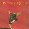 Piccola Aquila. Ediz. Illustrata