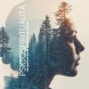 Psicospiritualit�: Un Percorso Di Crescita Interiore
