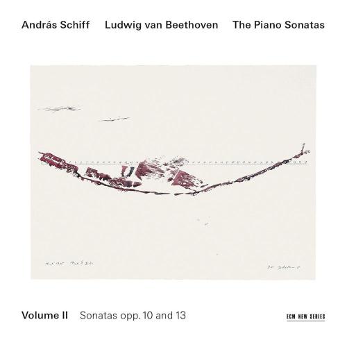 The Piano Sonatas Vol.2
