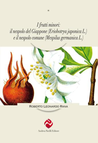 I Frutti Minori: Il Nespolo Del Giappone (eriobotrya Japonica L.) E Il Nespolo Comune (mespilus Germanica L.)
