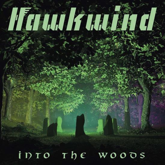 Into The Woods (2 Lp)