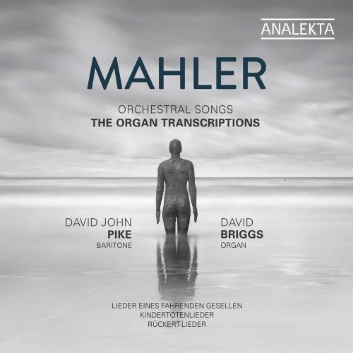 Orchestral Songs. The Organ Transcriptions