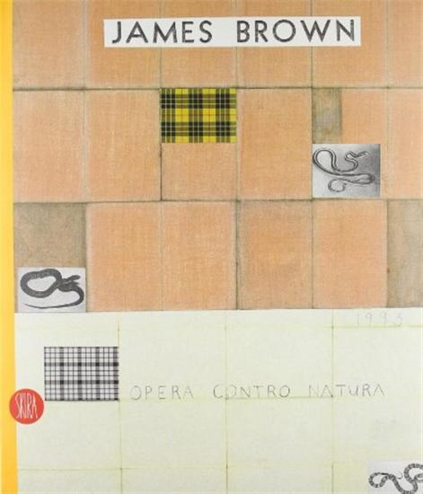 James Brown. Opera contro natura. Ediz. italiana e inglese