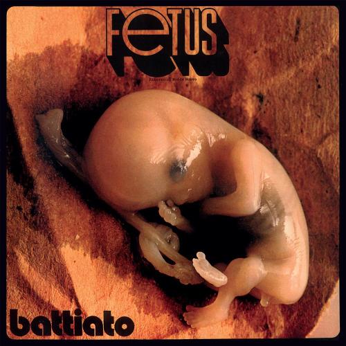 Fetus (clear Vinyl)