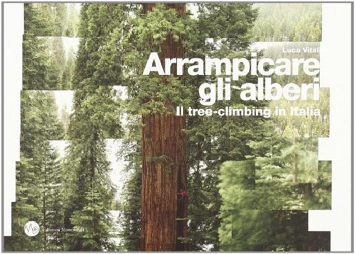 Arrampicare Gli Alberi. Il Tree-climbing In Italia
