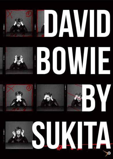 David Bowie. Ediz. illustrata