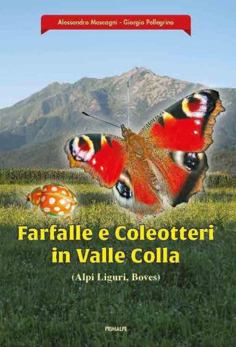 Farfalle E Coleotteri In Valle Colla (alpi Liguri, Boves)