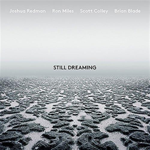 Still Dreaming (1 CD Audio)