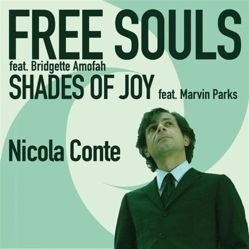 Free Souls/shades Of Joy (1 Vinile 7