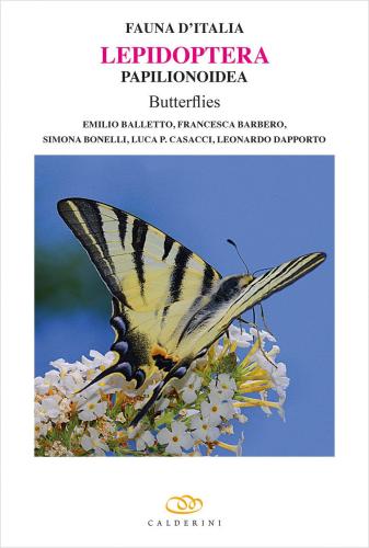 Lepidoptera Papilionoidea Butterflies. Ediz. Illustrata