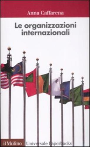 Le Organizzazioni Internazionali