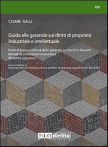 Guida Alle Garanzie Sui Diritti Di Propriet Industriale E Intellettuale