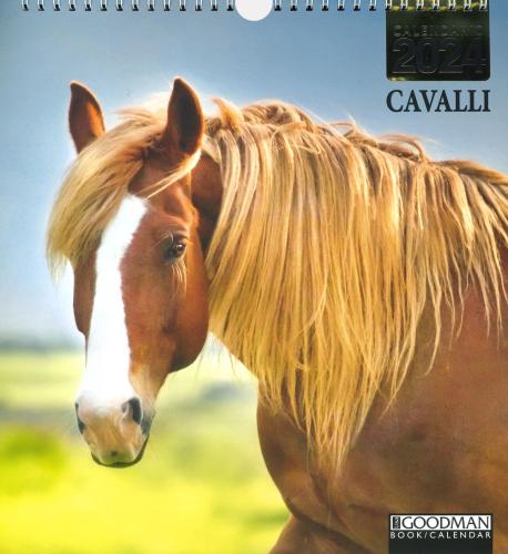 Cavalli. Calendario 2024