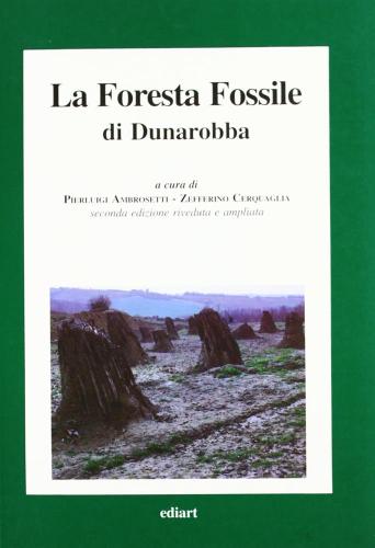 La Foresta Fossile Di Dunarobba