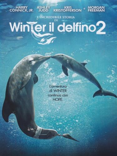 Incredibile Storia Di Winter Il Delfino 2 (l') (regione 2 Pal)