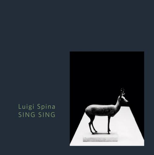 Sing Sing. Il Corpo Di Pompei-pompeii's Body. Ediz. Illustrata