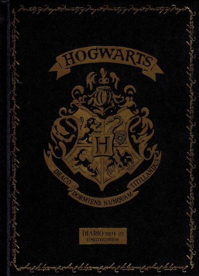 Diario scolastico Harry Potter limited edition 2021/2022 ( formato 18 x 13 grigio )