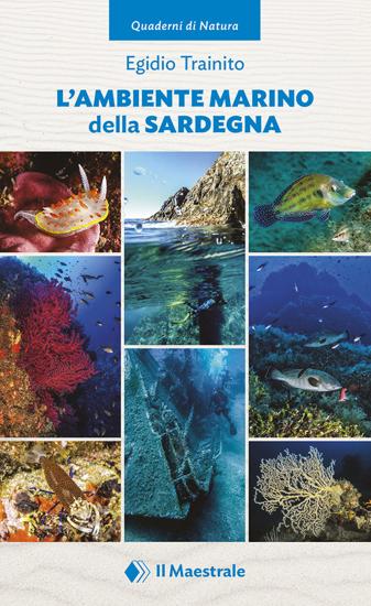 L'ambiente marino della Sardegna. Ediz. illustrata. Vol. 1