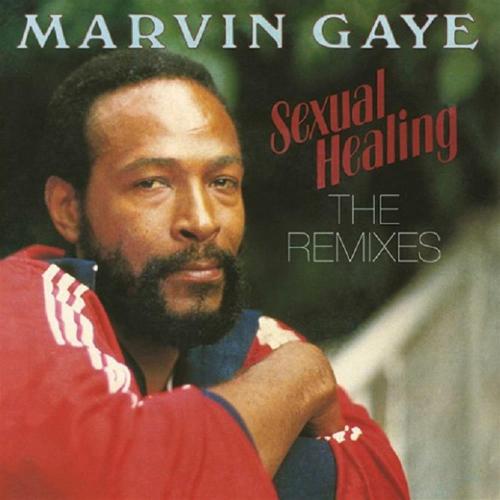Sexual Healing The Remixes