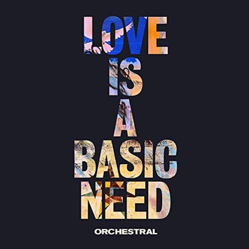 Love Is A Basic Need