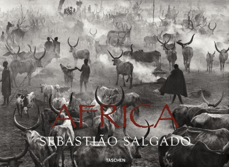 Sebastio Salgado. Africa. Ediz. multilingue