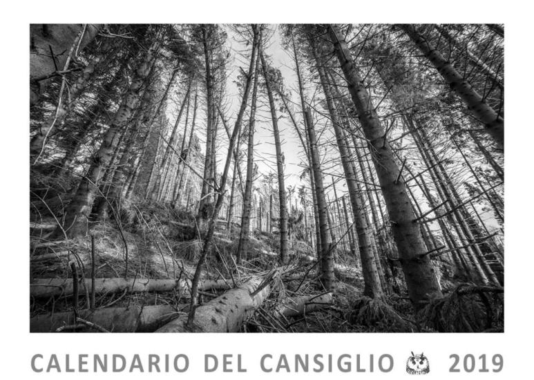 Cansiglio, la foresta nel cuore. Calendario del Cansiglio 2019
