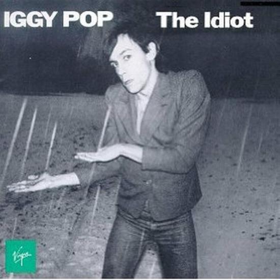 The Idiot (1 CD Audio)