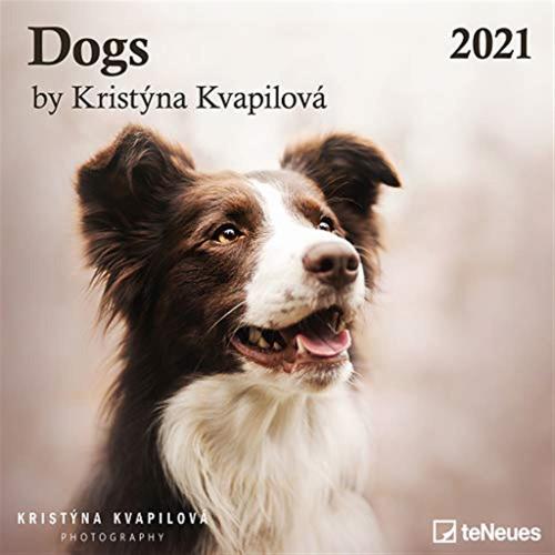 Dogs By Kristyna Kvapilova