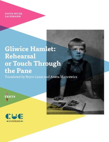 Gliwice Hamlet: Rehearsal Or Touch Through The Pane