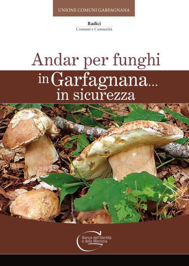 Andar per funghi in Garfagnana in sicurezza