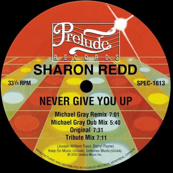 Never Give You Up - Michael Gray Remixes