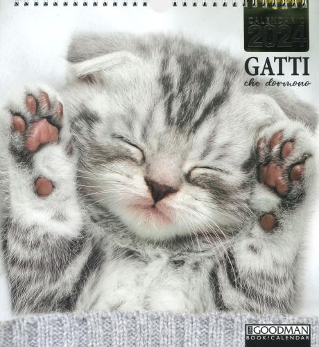 Gatti Che Dormono. Calendario 2024