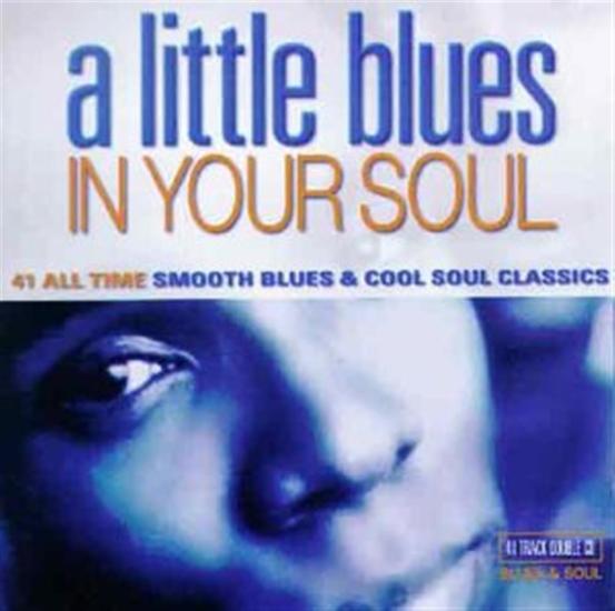 A Little Blues In Your Soul / Various (2 Cd)